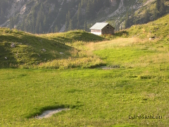 Obere Haseneggalpe