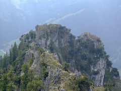 Der Zinken